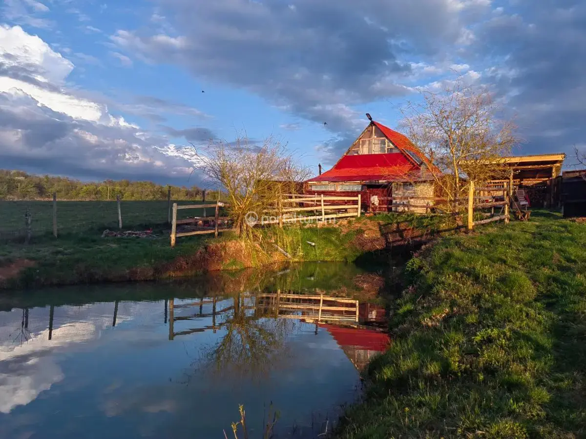 Casa de vacanță la Conacul lu' Băran